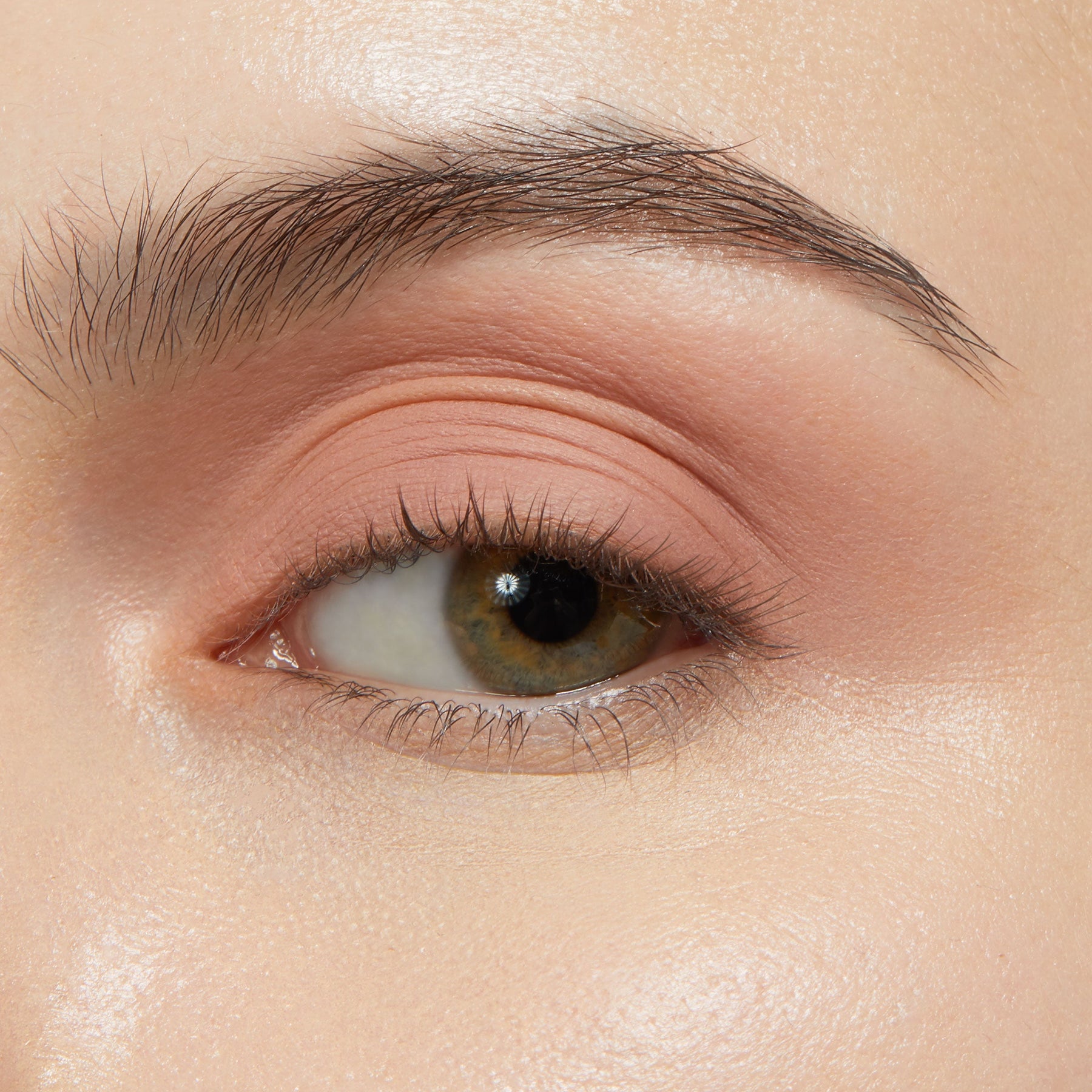 Bare With Me - Ready Routine
