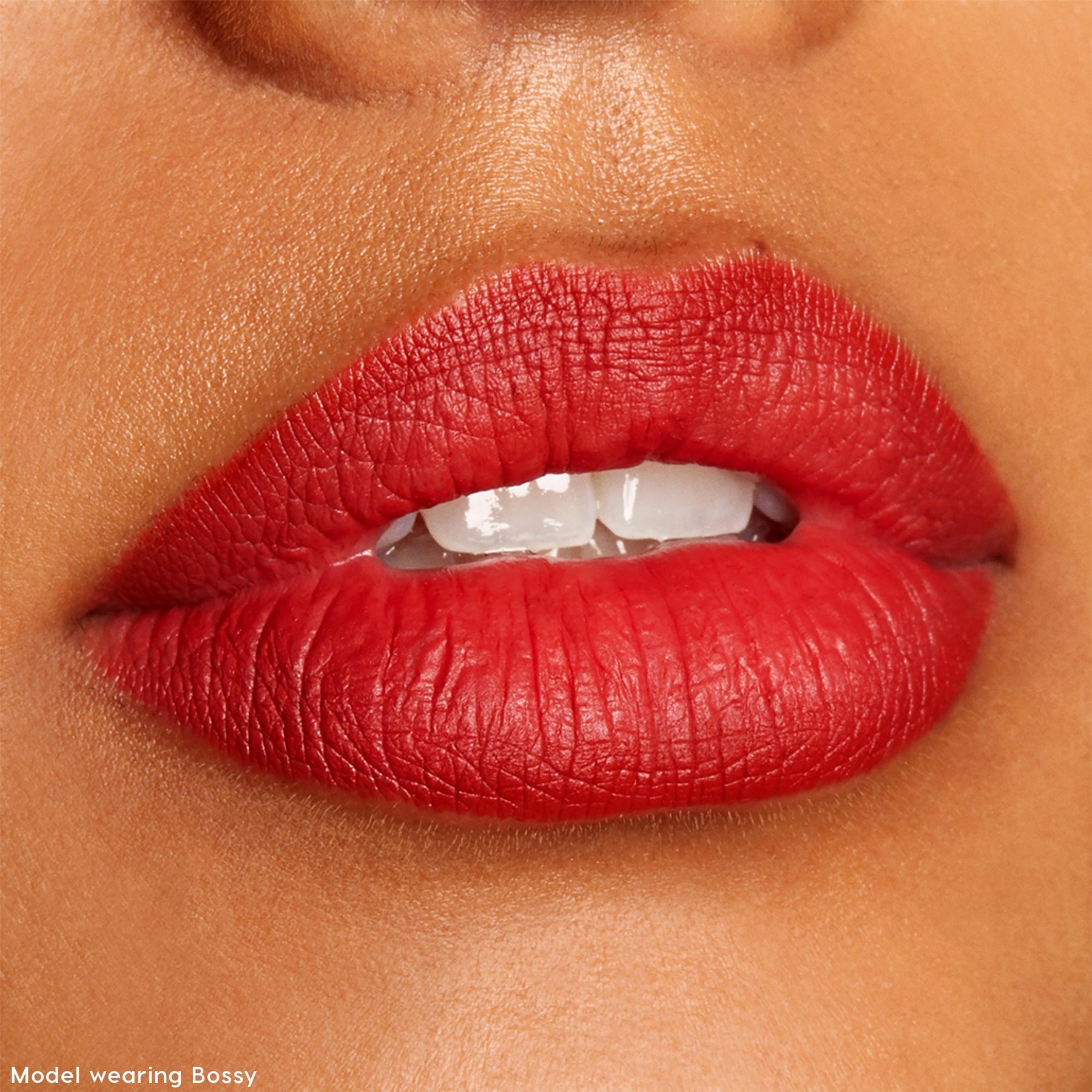 The Lil Box of Lippie Pencils - Classic Pick