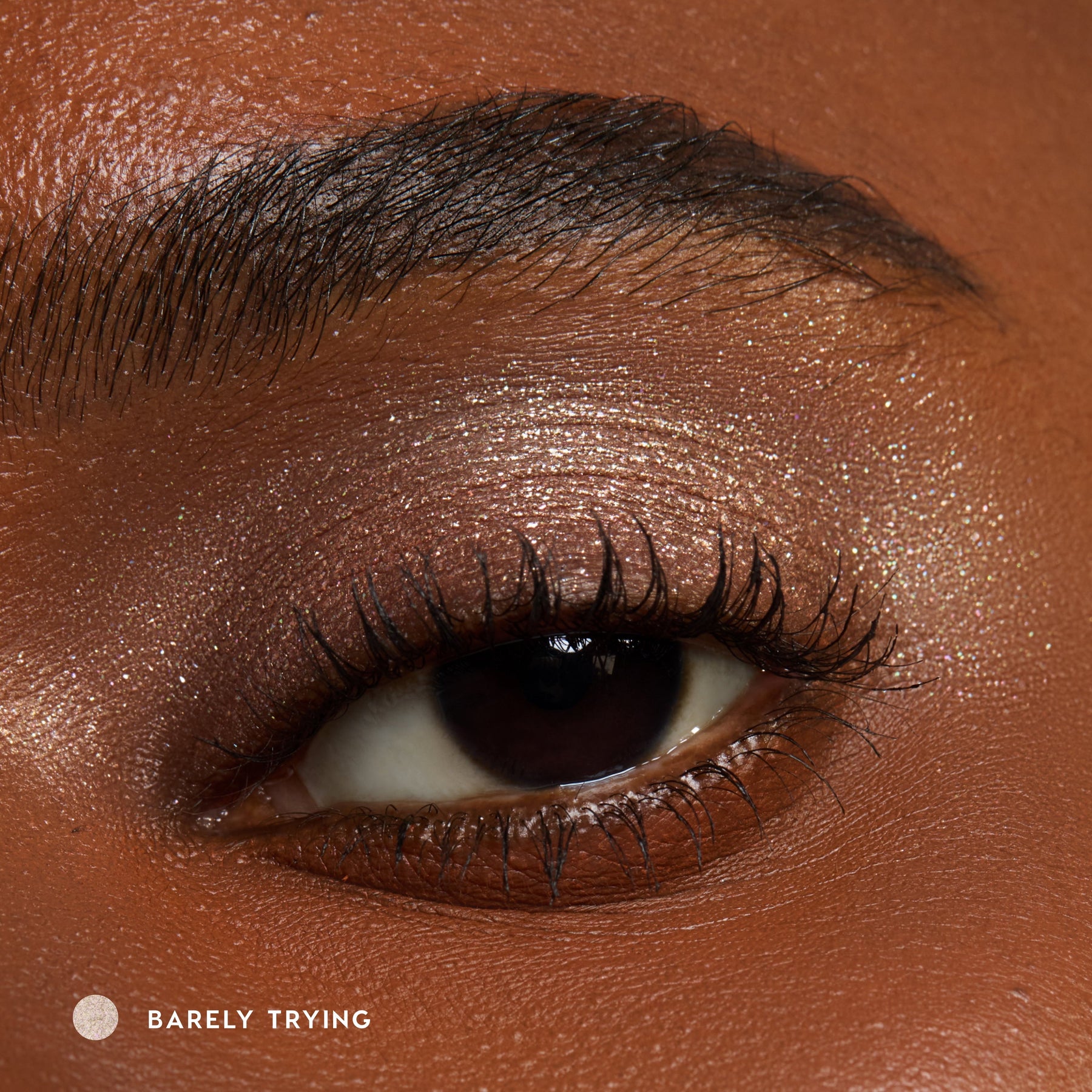 Barely Trying - Clean Color